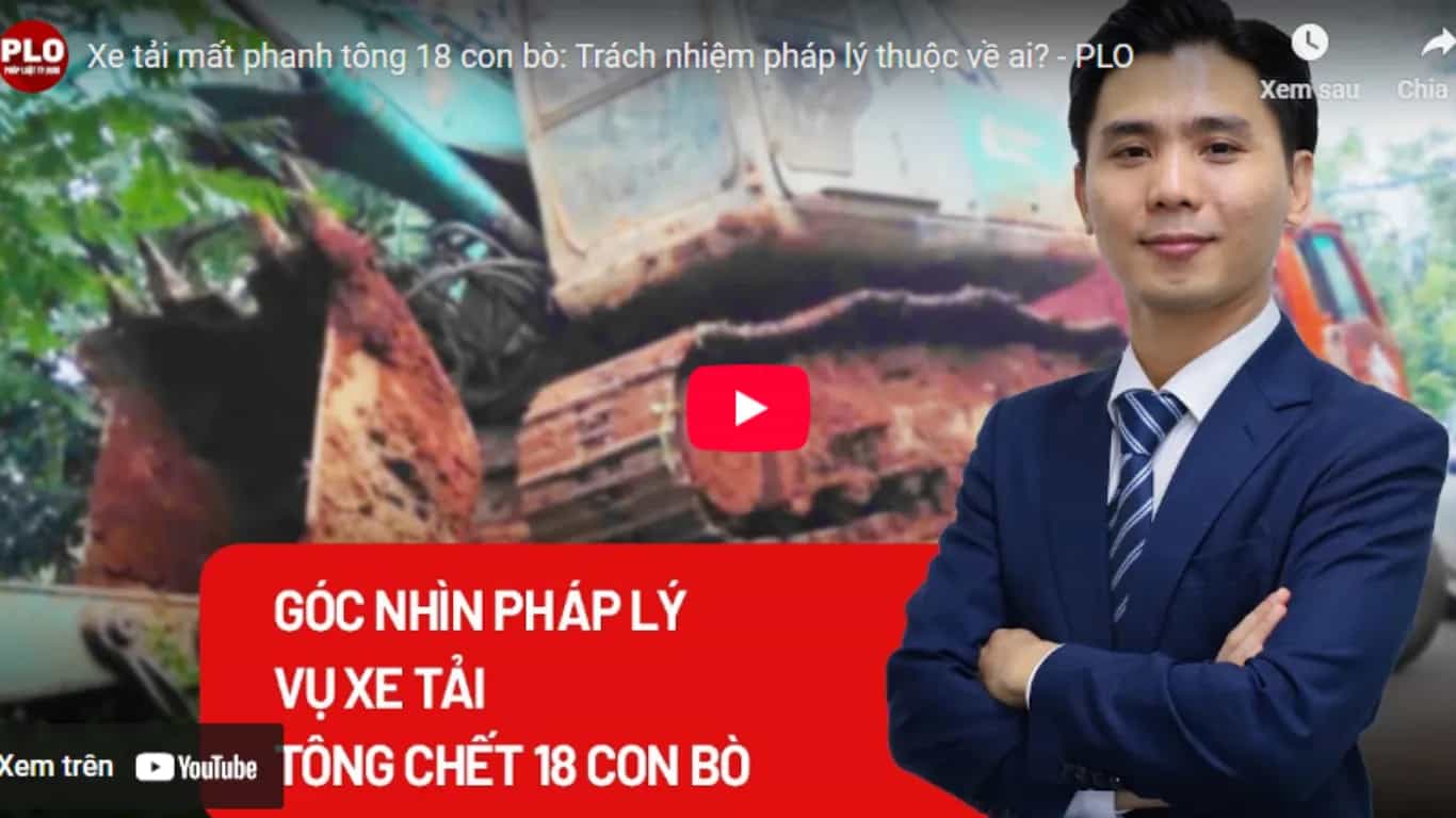 Xe tải mất phanh tông chết 18 con bò: Trách nhiệm pháp lý thuộc về ai?